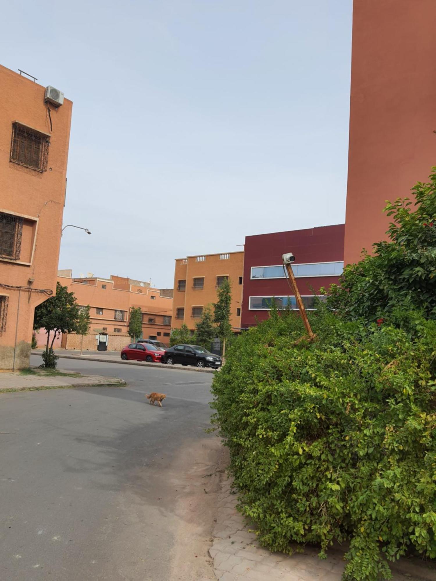 마라케시 Marrakech 아파트 외부 사진